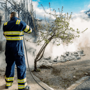 DIPLOMADO EN GESTIÓN DE RIESGOS Y PREVENCIÓN DE DESASTRES SOCIONATURALES